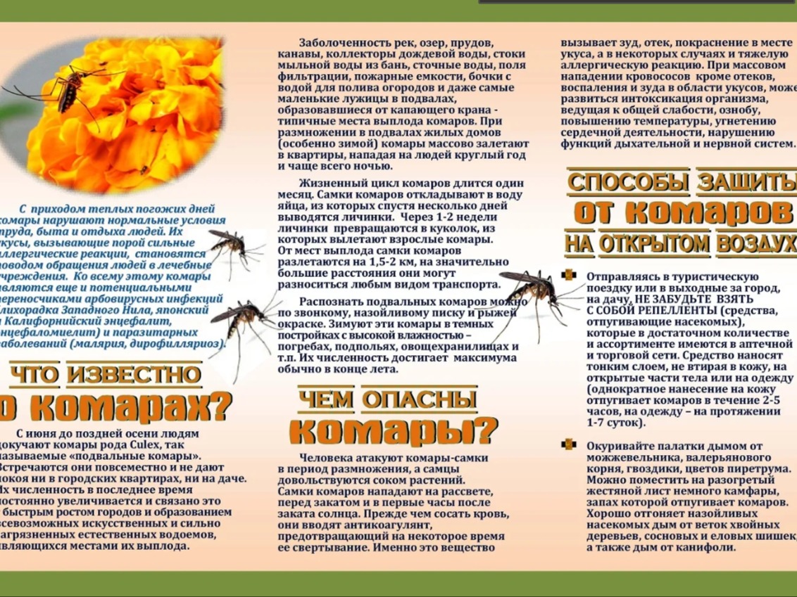 Осторожно комары!.
